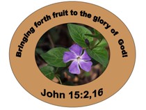 Reve' M. Pete Ministries, Inc. - Bringing forth fruit to the glory of God!